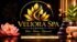Best Spa in Guwahati | Veliora Luxury Spa & Massage